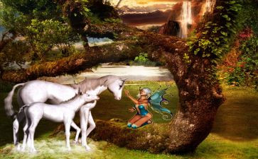 电影《奇幻森林》观后感5篇