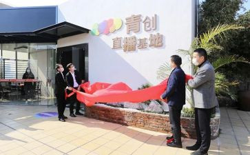 青创培训心得体会优秀6篇