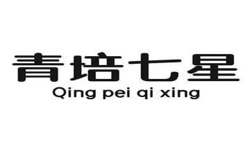 青培工作计划模板7篇