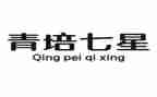 青培工作计划模板7篇