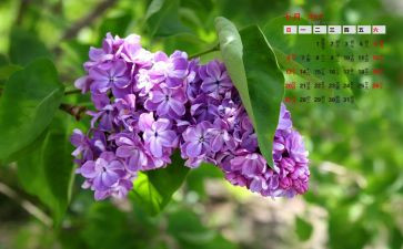 七月的演讲稿8篇