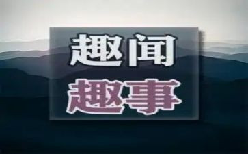 作文暑假趣事400字6篇