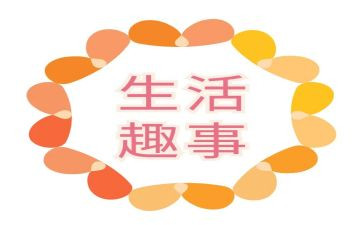 2024暑假趣事作文800字8篇