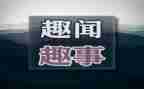 作文暑假趣事400字6篇