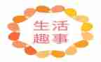 2024暑假趣事作文800字8篇