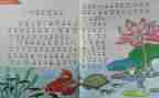 幼儿教师个人教研总结7篇