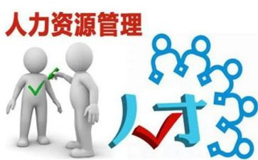 人力自我鉴定优质5篇