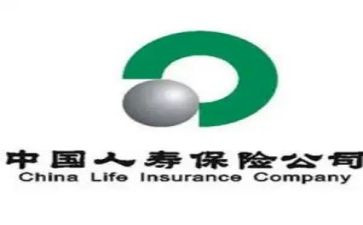 人寿工作总结6篇