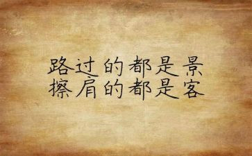 党支部个人心得体会8篇
