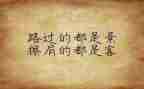 大学生个人心得体会500字8篇