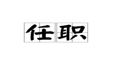 任职前的工作总结5篇