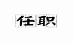 任职前的工作总结5篇