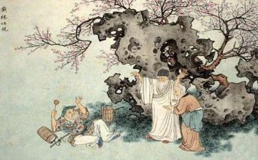 儒林外史儒林外史读后感优质5篇