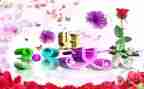 幼儿园三八节的活动方案优质5篇