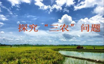 2023三农问题心得体会7篇