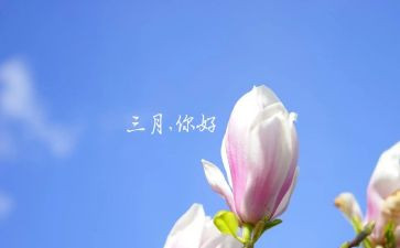 幼儿园三月工作计划8篇