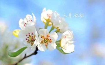 初三月考的心得体会7篇