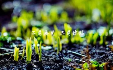 大大班三月份工作总结5篇