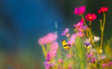 三月份小班工作总结最新5篇