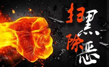 扫黑办工作总结8篇