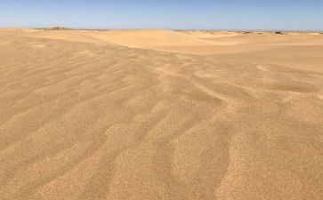 《天净沙·秋思》教案优秀6篇