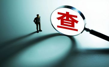 审查调查心得体会7篇