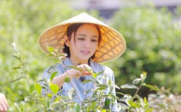 90后生活调研报告5篇