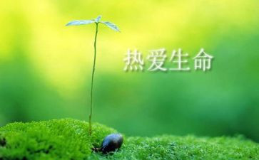 与珍爱生命的心得体会6篇