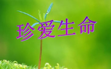 生命教育和健康教育心得体会6篇