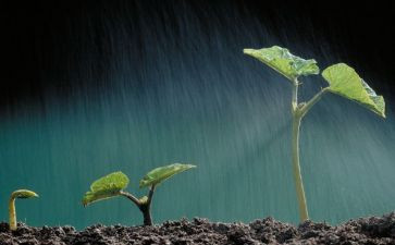 珍爱生命预防溺水安全教育心得体会6篇