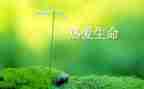 与珍爱生命的心得体会6篇