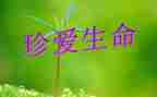 生命教育和健康教育心得体会6篇