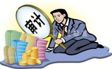 个人审计工作总结通用8篇