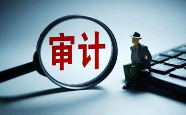 个人审计工作总结推荐8篇