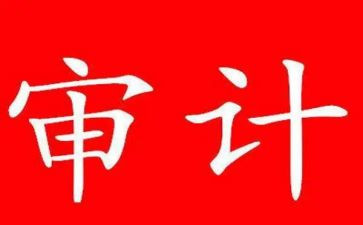 财务审计工作总结参考5篇