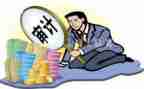 个人审计工作总结通用8篇