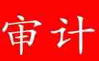 财务审计工作总结参考5篇