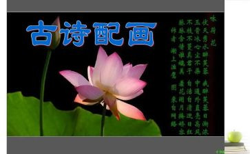 写母亲诗的读后感优秀6篇
