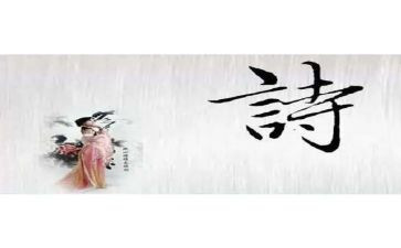 写母亲诗的读后感6篇