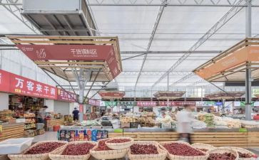 2023貉的市场调研报告8篇