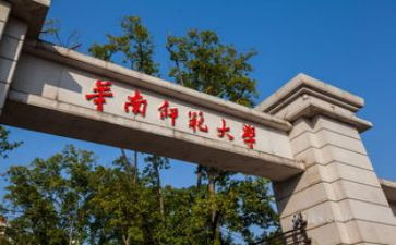 小学个人述职报告教师范文最新6篇