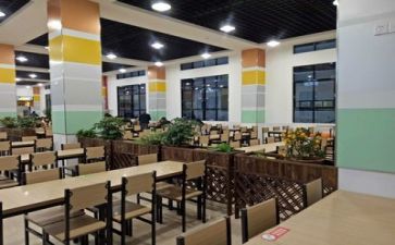 食堂2024年工作总结模板5篇