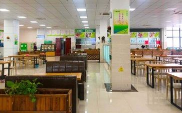食堂2024年工作总结6篇