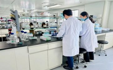 实验后的心得体会8篇