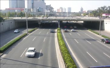市政府领导讲话稿5篇