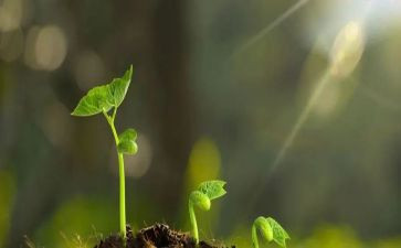 做生命的守护人心得体会5篇