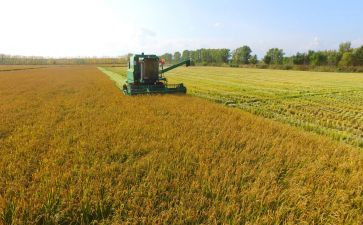 收获与成长作文精选8篇