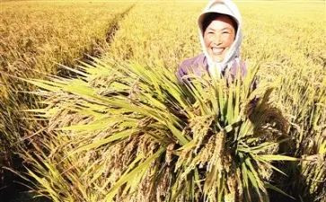 培训收获心得体会优质8篇