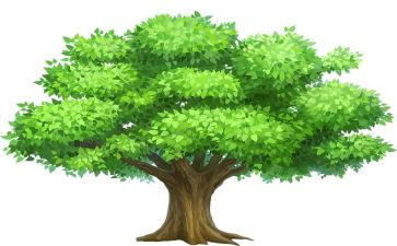 植树主题演讲稿参考8篇