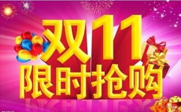 双11总结报告精选7篇